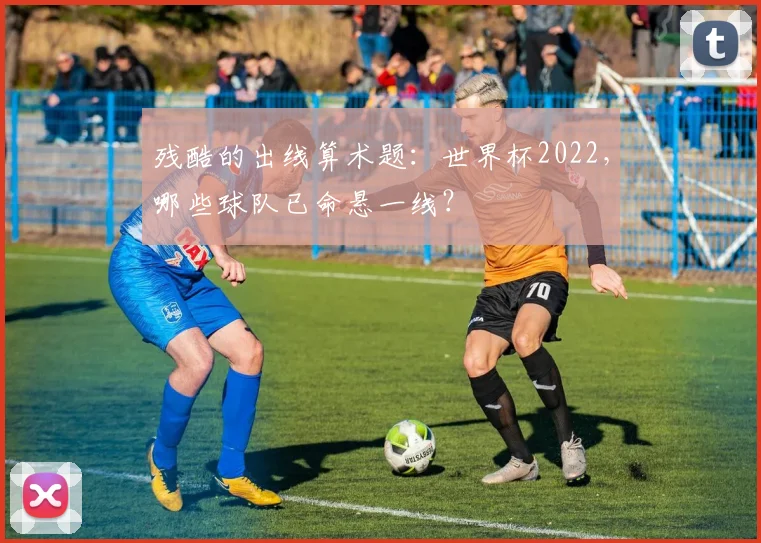 残酷的出线算术题：世界杯2022，哪些球队已命悬一线？